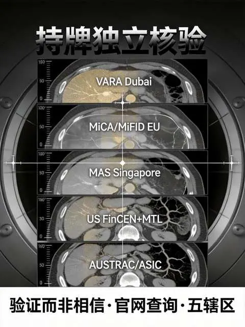 欧意拥有哪些合法牌照？手把手教你查询监管资质